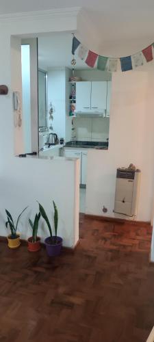 科尔多瓦Dpto Nueva Cordoba frente Palacio Ferreyra a 100mt Consulado España的厨房有白色的墙壁、木地板和盆栽