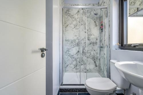 a bathroom with a shower and a toilet and a sink at City Line Apartment 2 in Newtownabbey