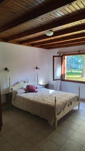 een slaapkamer met een bed in een kamer met een raam bij Casa Quinta Pichi Ruca in Coronel Suárez
