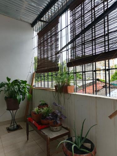 a room with potted plants on a table and windows at Orquídeas Hause in Estación El Salto