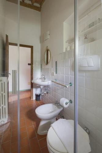 a bathroom with a toilet and a sink and a shower at Agriturismo La Ca'Solare in Palaia