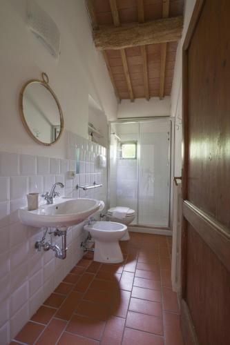 a bathroom with a sink and a toilet and a mirror at Agriturismo La Ca'Solare in Palaia