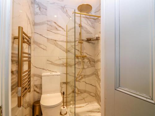a bathroom with a toilet and a shower at Evansford in Ballater