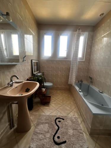 une salle de bain avec une baignoire et un lavabo et une baignoire dans l'établissement Cyrus House, au Mans