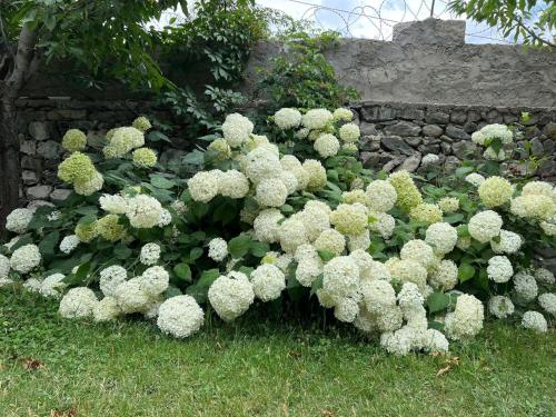Un jardín fuera de Flora Inn Skardu