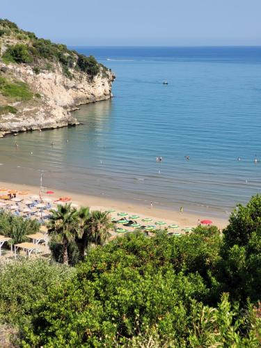 Příroda nedaleko prázdninového domu