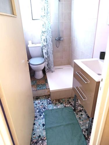 a bathroom with a toilet and a shower and a sink at Saint-Michel de Maurienne, appartement de 45 m² in Saint-Michel-de-Maurienne