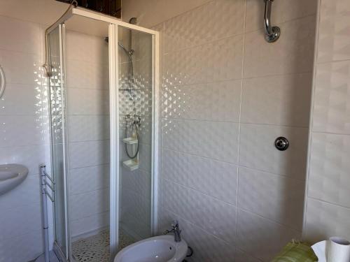 Stazione di PaestumにあるVerna Vacation Homeのシャワー、トイレ、洗面台を備えたバスルーム