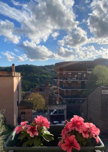 a view of a city with flowers on a balcony at VerdeFiore in Subiaco