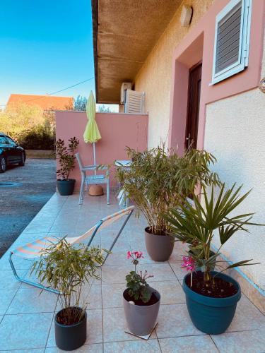 a group of potted plants sitting on a patio at Apartman Nela in Betina