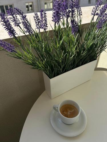 Fotografie z fotogalerie ubytování Apartment Belaj SeaSide Resort - Sea view v destinaci Umag