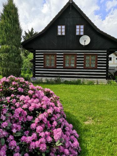 a black house with pink flowers in front of it at Roubenka Mříčná in Mřičná