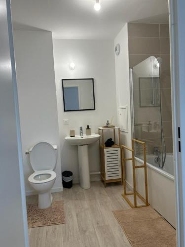 une salle de bain avec toilettes, lavabo et douche dans l'établissement Appartement cosy T2 avec balcon proche de CDG et de Paris, au Blanc-Mesnil