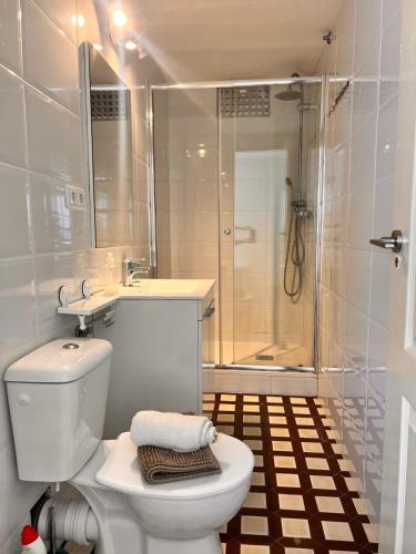 a bathroom with a toilet and a shower at Duplex B Vacaciones en el mar in Ribeira