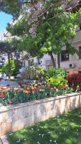 Jardín al aire libre en Apartament Kitty Centrul Istoric Craiova