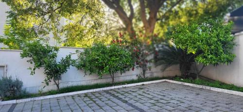 a white wall with trees and a brick patio at Apartments Villa Alba in Dubrovnik
