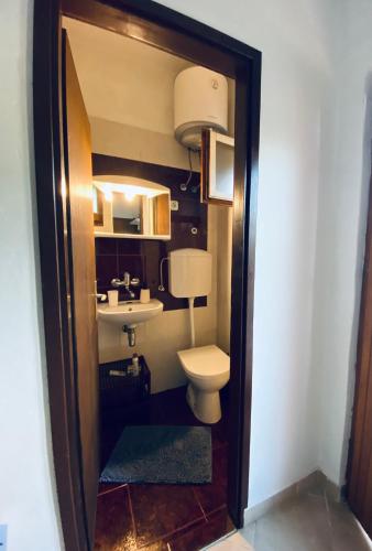 a small bathroom with a toilet and a sink at Apartman Nela in Betina
