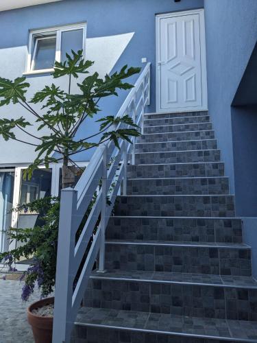 Φωτογραφία από το άλμπουμ του T2 na Praia da Costa Nova com Varanda - Yellow Door σε Costa Nova