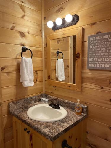 a bathroom with a sink and a mirror at Moore Road Cabin 1 Pet Friendly in Tryon