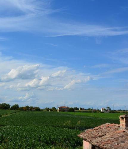 a field of green grass with a blue sky at Corte Monfardina in Adria