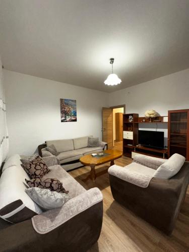 a living room with two couches and a tv at Apartman Cesare in Tivat