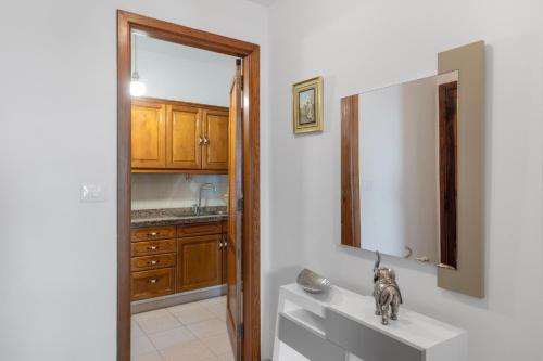 a kitchen with a dog statue sitting on a counter at Piso Tazacorte in Puerto