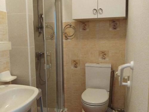 une salle de bain avec toilettes, lavabo et douche dans l'établissement Appartement cosy avec balcon à 10 min des Thermes, animaux admis - FR-1-503-24, à Balaruc-les-Bains