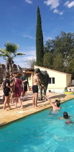 un groupe de personnes debout autour d'une piscine avec un éléphant dans l'établissement Camping 4 étoiles - Piscine - ccb0dhf, à Saint-Denis