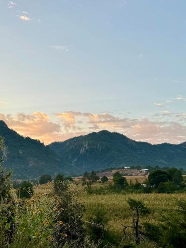 a view of a field with mountains in the background at Valle de Cerocahui Hotel in Cerocahui
