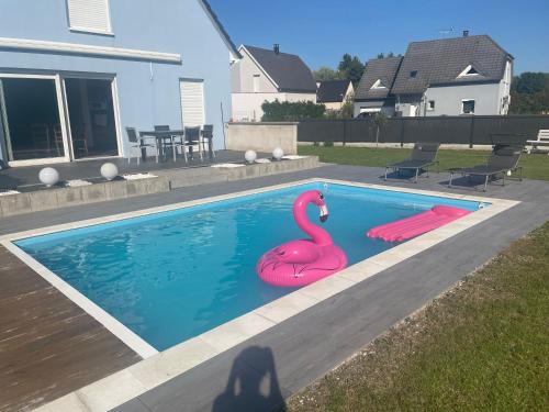 Maison et piscine Europa Park Visite Alsace - 9 pers