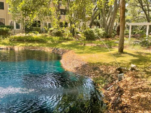 a pool of water in the middle of a yard at Coastal Retreat Villa on Port Royal Sound in Hilton Head Island