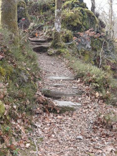 a trail with stepping stones on a hill in the woods at Chez Rosé in Sainte-Cécile