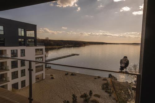 a person sitting on a rail next to a body of water at Apartamenty Boszkowo Horizon Sunset in Boszkowo