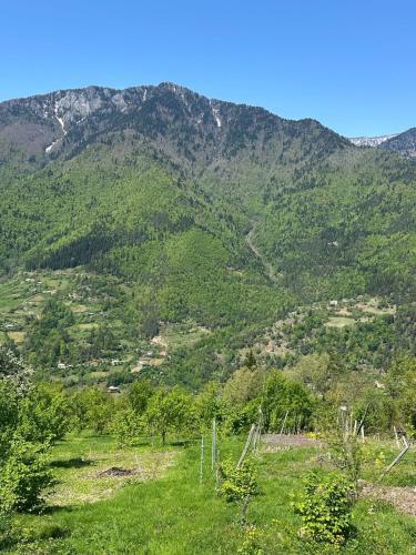 a view of a mountain with green grass and trees at Paradise Keda in Keda