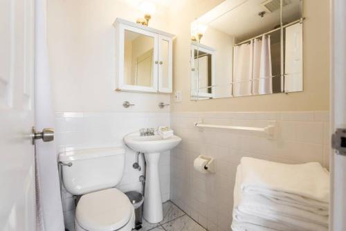 Un baño con inodoro, lavabo y espejo. en Awesome 2 bed 1.5 bath Downtown Apartment, en Boston