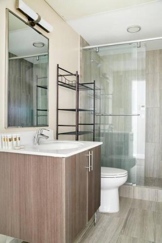 a bathroom with a sink and a toilet and a mirror at Pet Friendly 3 Bed 2 Bath steps to Beacon Hill in Boston