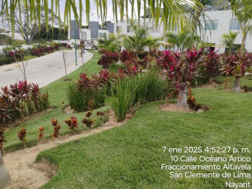 a garden with flowers and plants in a park at Casa Monstera te espera in Naranjo