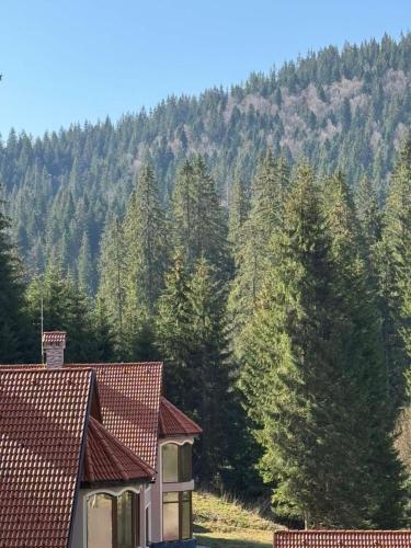 a house in front of a forest of trees at Alpine Relax free spa & pool in Pamporovo