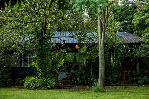 a house in the middle of a yard with trees at Tusubira village in Jinja