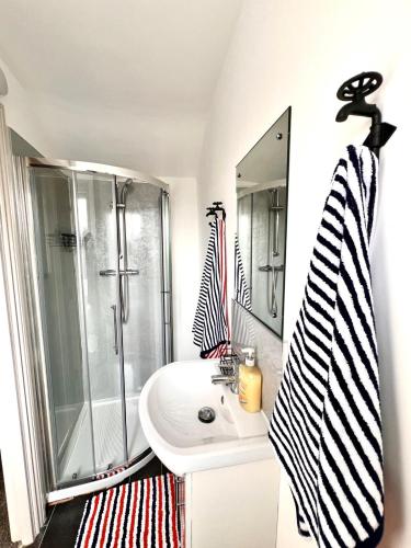 a bathroom with a shower and a sink and a shower at Little Dockray Two-Bedroom Apartment Centre of Penrith in Penrith