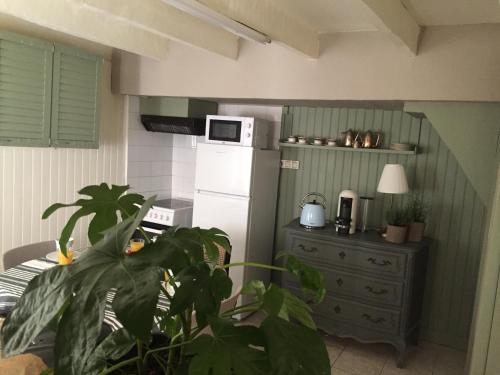 Il comprend une cuisine équipée d'une plante et d'un réfrigérateur blanc. dans l'établissement Maison Centre Historique, à Sarlat-la-Canéda