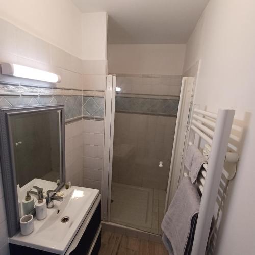 une salle de bain avec un lavabo et une douche dans l'établissement Studio cosy, terrasse, logement entier Aix-en-Provence, à Aix-en-Provence