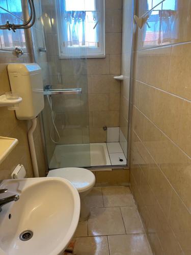 a bathroom with a shower and a toilet and a sink at Casa Marelia - studio A2 in Primošten