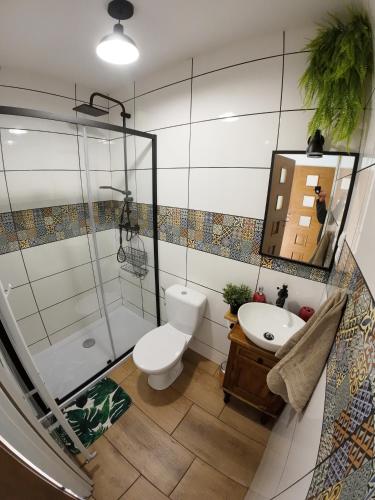 a bathroom with a shower and a toilet and a sink at Stacja Srebrna Góra in Srebrna Góra