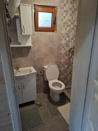 a bathroom with a toilet and a sink at Bungalows Malagić in Gusinje