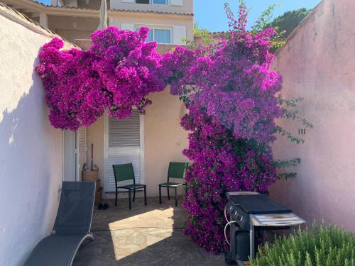 Une bande de fleurs violettes sur le côté d'un bâtiment dans l'établissement Baia santa Giulia, à La Celle-sous-Gouzon