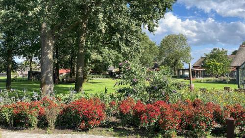 Taman di luar B&B Il Settimo Cielo