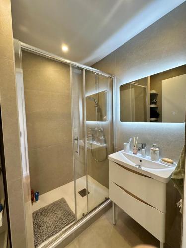 une salle de bain avec douche et lavabo dans l'établissement Shiny Sea View Flat vue merTerrace in Cannes, à Cannes