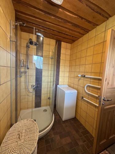a bathroom with a shower and a toilet in it at Kastan House in Mustvee