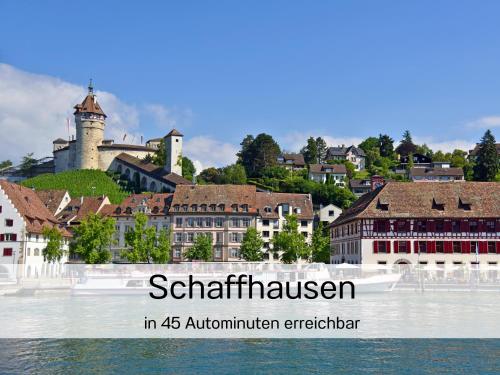 a view of a town from the water at Ferienhausträume-Bodensee Bergstrassen Apartments in Kreuzlingen